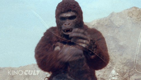 AZ is king kong of deliveries